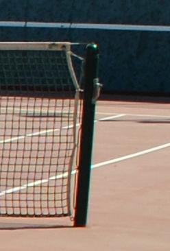 Doonel Basic Tennis Pole