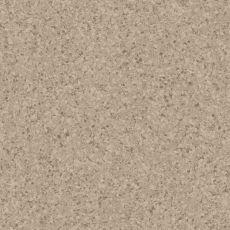 Dark Warm Beige