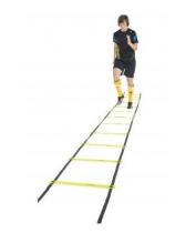 Doonel Premium Training Ladder